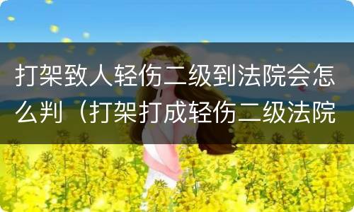 打架致人轻伤二级到法院会怎么判（打架打成轻伤二级法院会判多久）
