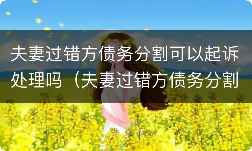 夫妻过错方债务分割可以起诉处理吗（夫妻过错方债务分割可以起诉处理吗法律规定）