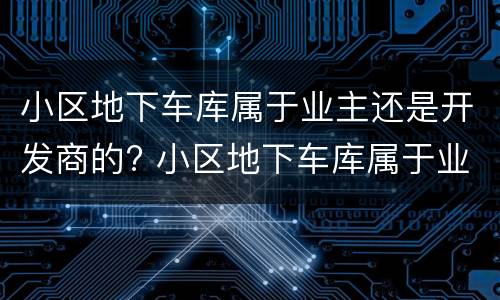 小区地下车库属于业主还是开发商的? 小区地下车库属于业主还是开发商的业主
