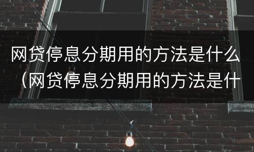 网贷停息分期用的方法是什么（网贷停息分期用的方法是什么呢）