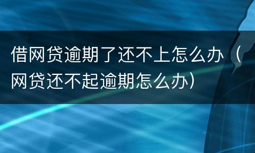 借网贷逾期了还不上怎么办（网贷还不起逾期怎么办）