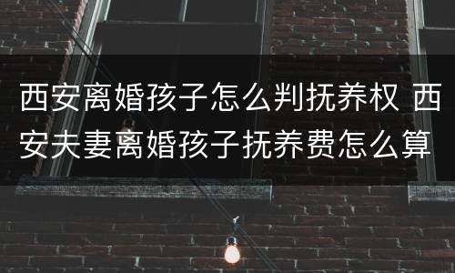 西安离婚孩子怎么判抚养权 西安夫妻离婚孩子抚养费怎么算