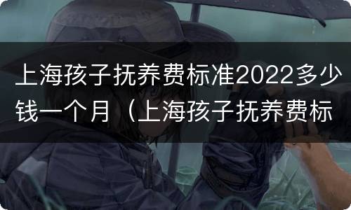 上海孩子抚养费标准2022多少钱一个月（上海孩子抚养费标准2021）