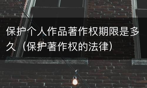 保护个人作品著作权期限是多久（保护著作权的法律）
