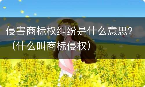 侵害商标权纠纷是什么意思？（什么叫商标侵权）