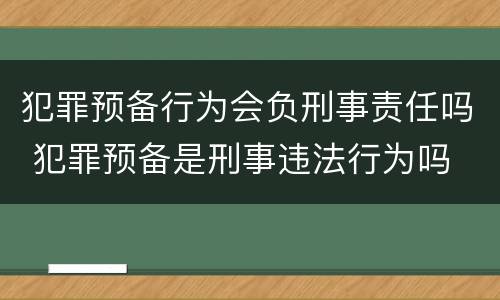 犯罪预备行为会负刑事责任吗 犯罪预备是刑事违法行为吗