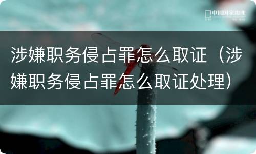 涉嫌职务侵占罪怎么取证（涉嫌职务侵占罪怎么取证处理）