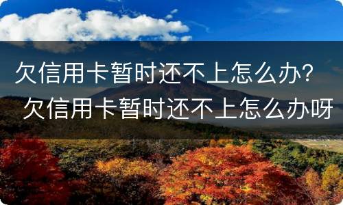 欠信用卡暂时还不上怎么办？ 欠信用卡暂时还不上怎么办呀