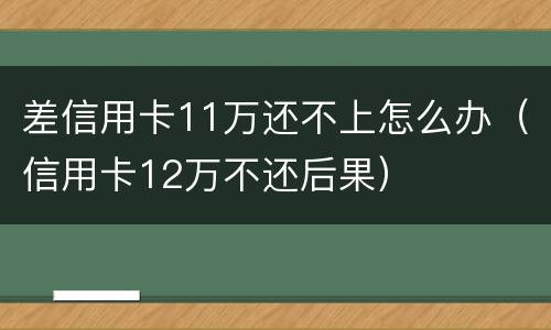 差信用卡11万还不上怎么办（信用卡12万不还后果）