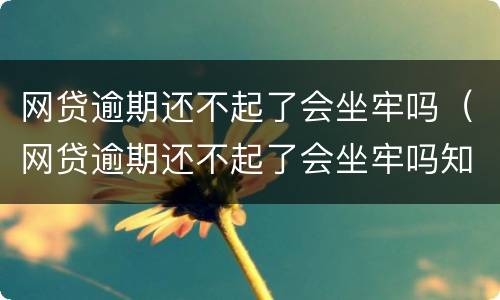 网贷逾期还不起了会坐牢吗（网贷逾期还不起了会坐牢吗知乎）