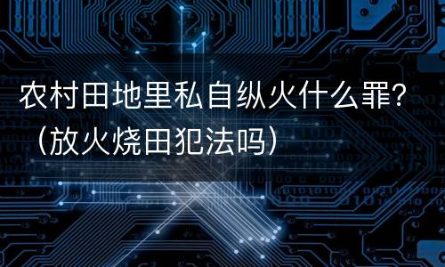 农村田地里私自纵火什么罪？（放火烧田犯法吗）