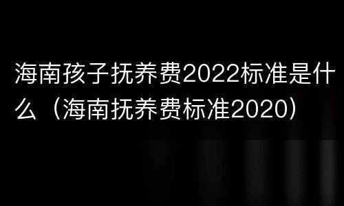 海南孩子抚养费2022标准是什么（海南抚养费标准2020）