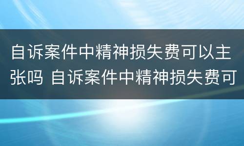 自诉案件中精神损失费可以主张吗 自诉案件中精神损失费可以主张吗为什么