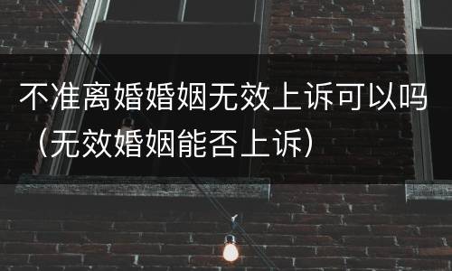 不准离婚婚姻无效上诉可以吗（无效婚姻能否上诉）