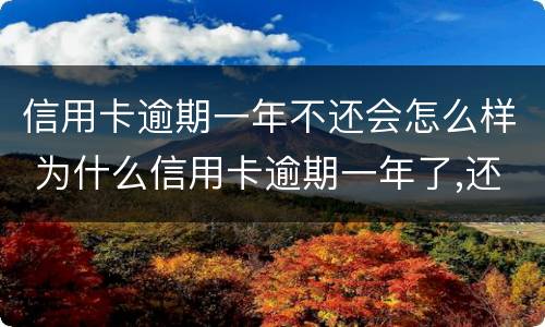 信用卡逾期一年不还会怎么样 为什么信用卡逾期一年了,还不起诉