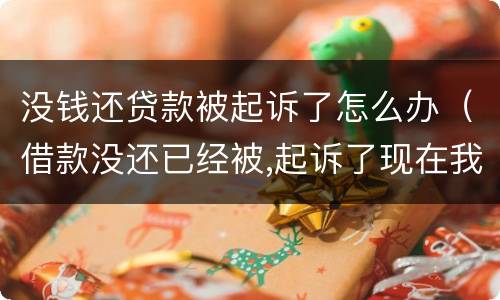 没钱还贷款被起诉了怎么办（借款没还已经被,起诉了现在我该怎么办）