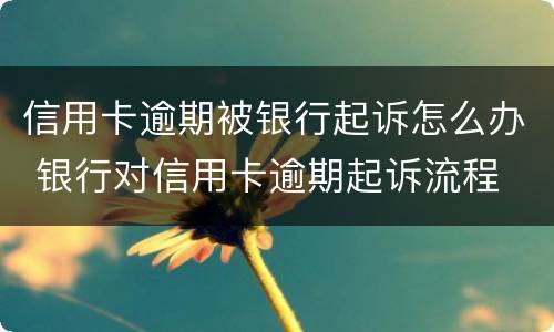 信用卡逾期被银行起诉怎么办 银行对信用卡逾期起诉流程
