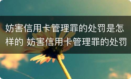 妨害信用卡管理罪的处罚是怎样的 妨害信用卡管理罪的处罚是怎样的呢
