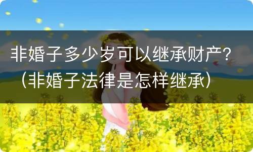 非婚子多少岁可以继承财产？（非婚子法律是怎样继承）