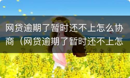 网贷逾期了暂时还不上怎么协商（网贷逾期了暂时还不上怎么协商还款）