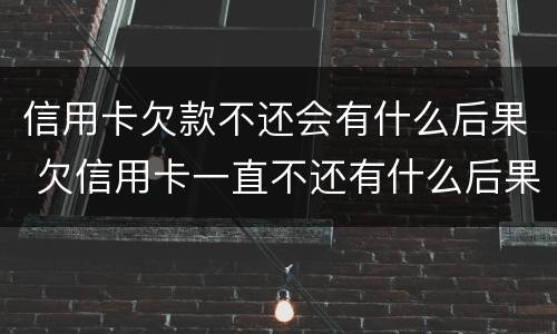 信用卡欠款不还会有什么后果 欠信用卡一直不还有什么后果