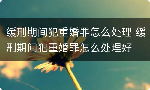 缓刑期间犯重婚罪怎么处理 缓刑期间犯重婚罪怎么处理好
