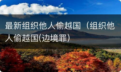 最新组织他人偷越国（组织他人偷越国(边境罪）