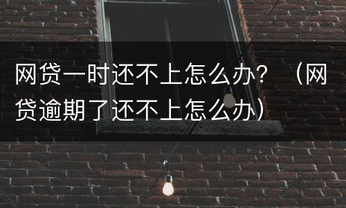 网贷一时还不上怎么办？（网贷逾期了还不上怎么办）