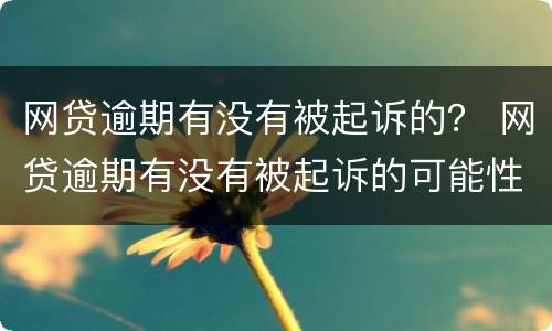 网贷逾期有没有被起诉的？ 网贷逾期有没有被起诉的可能性