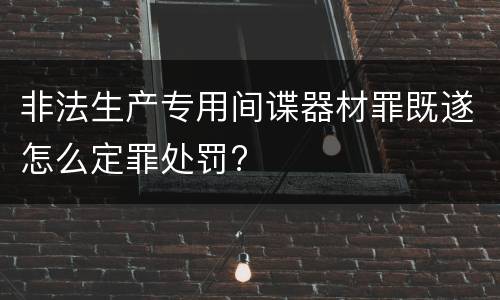 非法生产专用间谍器材罪既遂怎么定罪处罚?