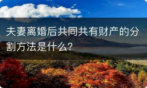 夫妻离婚后共同共有财产的分割方法是什么？