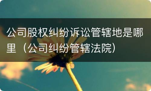 公司股权纠纷诉讼管辖地是哪里（公司纠纷管辖法院）