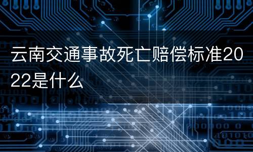 云南交通事故死亡赔偿标准2022是什么