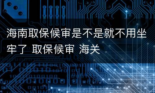 海南取保候审是不是就不用坐牢了 取保候审 海关