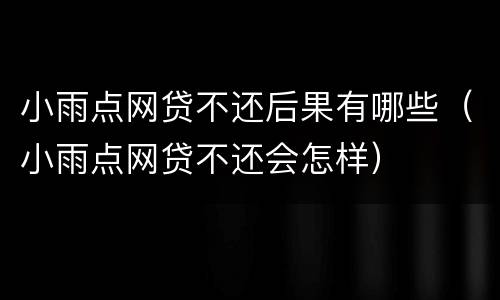 小雨点网贷不还后果有哪些（小雨点网贷不还会怎样）