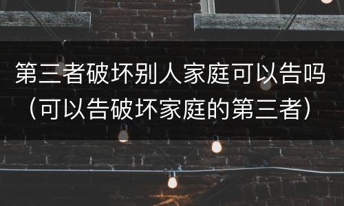 第三者破坏别人家庭可以告吗（可以告破坏家庭的第三者）
