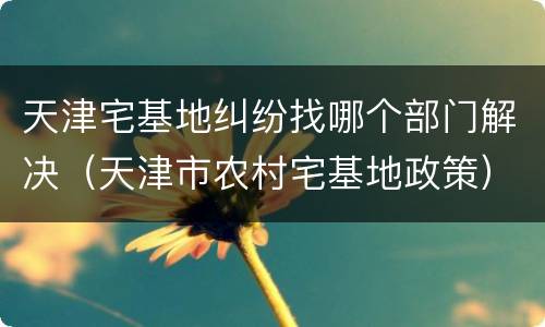 天津宅基地纠纷找哪个部门解决（天津市农村宅基地政策）