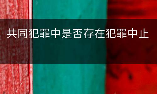 共同犯罪中是否存在犯罪中止