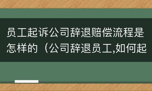 员工起诉公司辞退赔偿流程是怎样的（公司辞退员工,如何起诉）