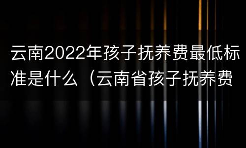 云南2022年孩子抚养费最低标准是什么（云南省孩子抚养费最低标准是多少）