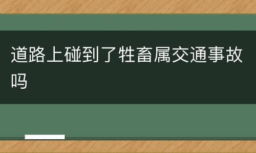 道路上碰到了牲畜属交通事故吗