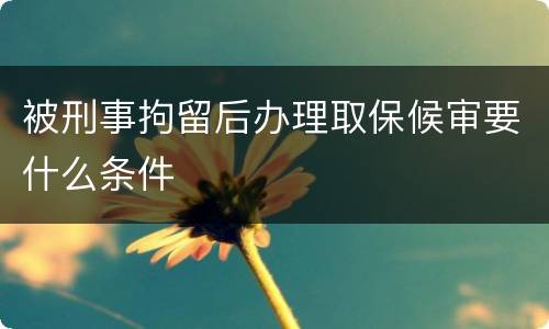 被刑事拘留后办理取保候审要什么条件