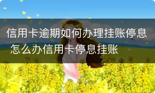 信用卡逾期如何办理挂账停息 怎么办信用卡停息挂账