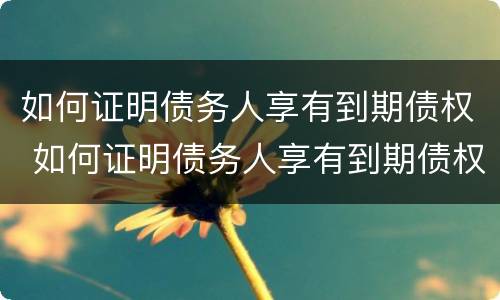 如何证明债务人享有到期债权 如何证明债务人享有到期债权