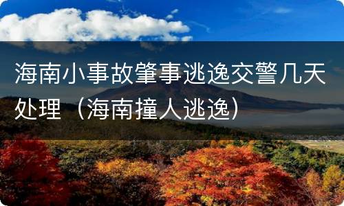 海南小事故肇事逃逸交警几天处理（海南撞人逃逸）