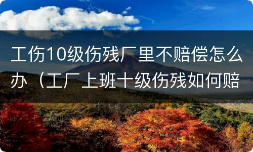 工伤10级伤残厂里不赔偿怎么办（工厂上班十级伤残如何赔偿）