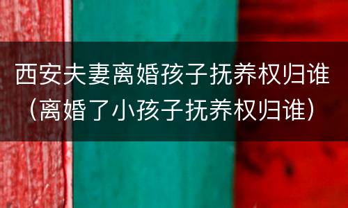 西安夫妻离婚孩子抚养权归谁（离婚了小孩子抚养权归谁）