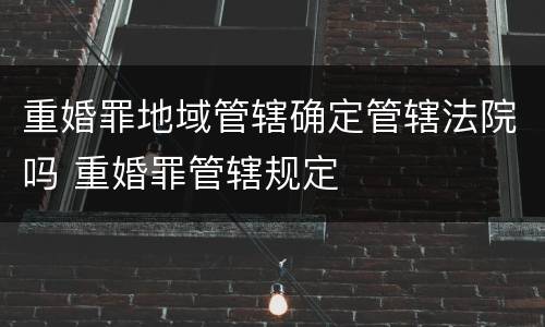 重婚罪地域管辖确定管辖法院吗 重婚罪管辖规定