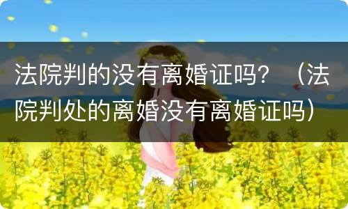 法院判的没有离婚证吗？（法院判处的离婚没有离婚证吗）