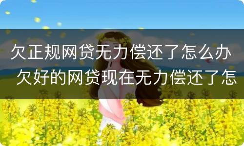 欠正规网贷无力偿还了怎么办 欠好的网贷现在无力偿还了怎么办啊